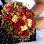 claesleonor_broll0113